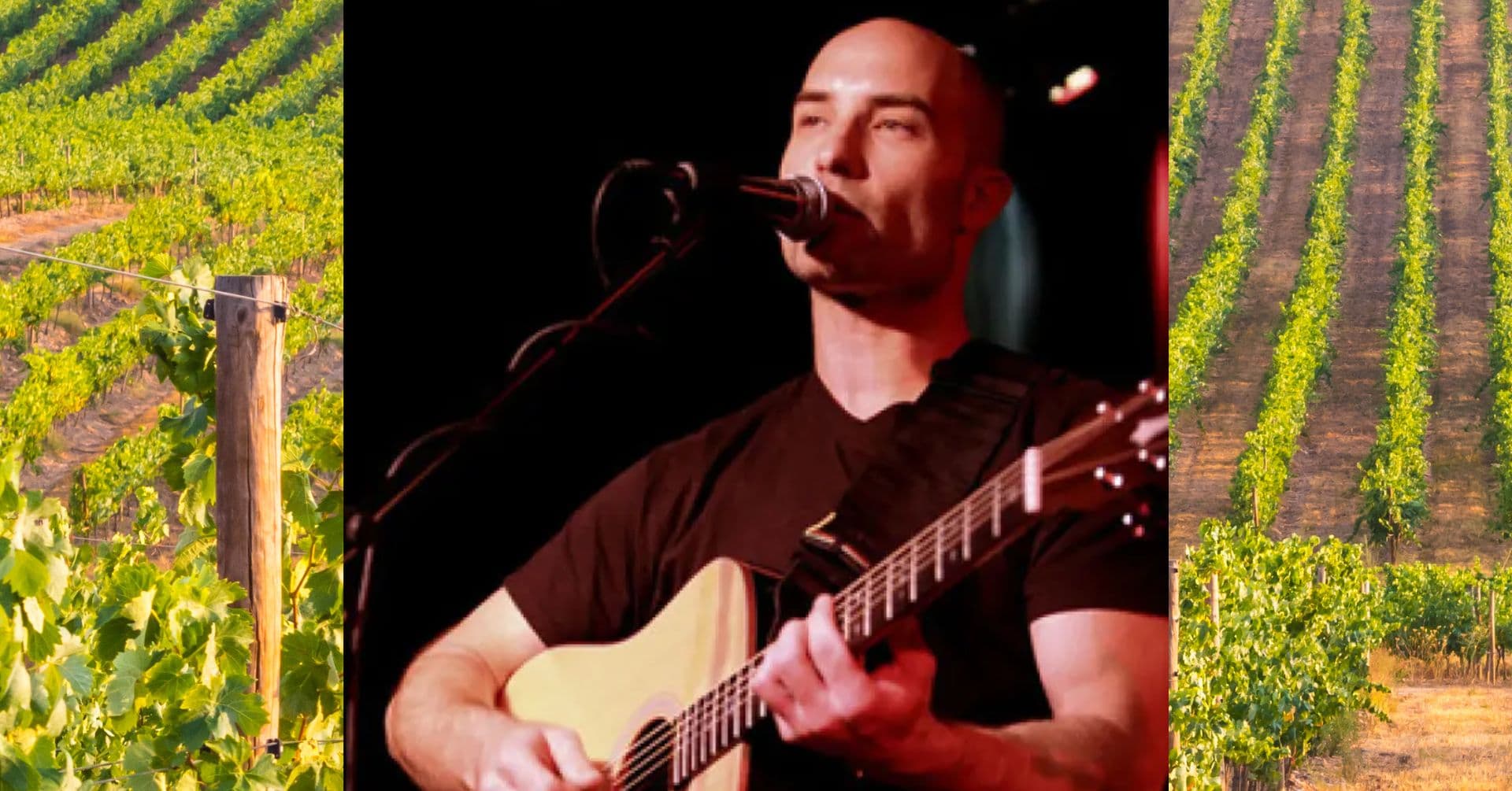 Michael LeClerc | 2-5pm - general event at Vitagliano Winery in Temecula, California