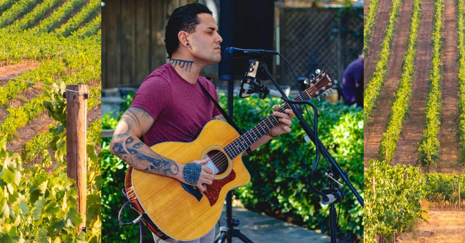 Nate Penland 2-5pm - general event at Vitagliano Winery in Temecula, California