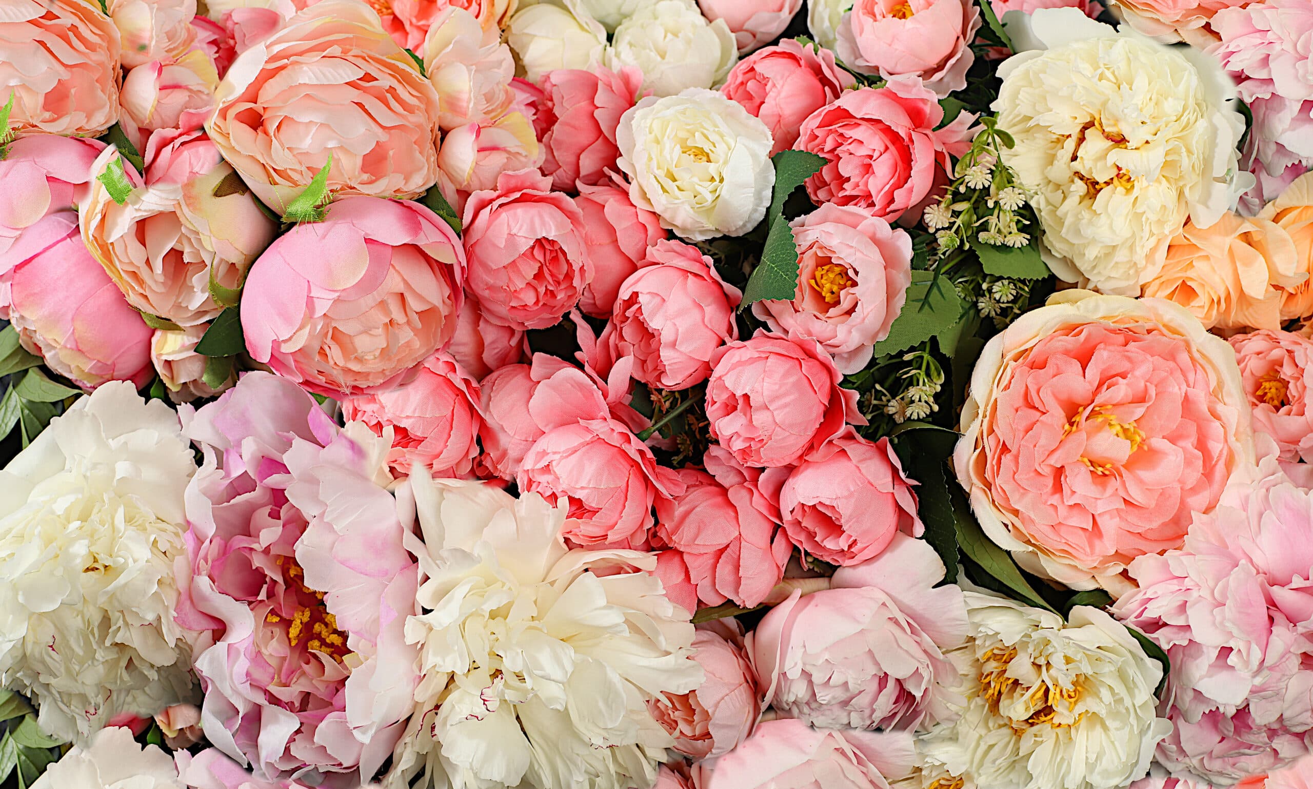 Mother\'s Day Brunch at Vienza - general event at Europa Village Wineries & Resort in Temecula, California